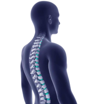 coluna-removebg-preview